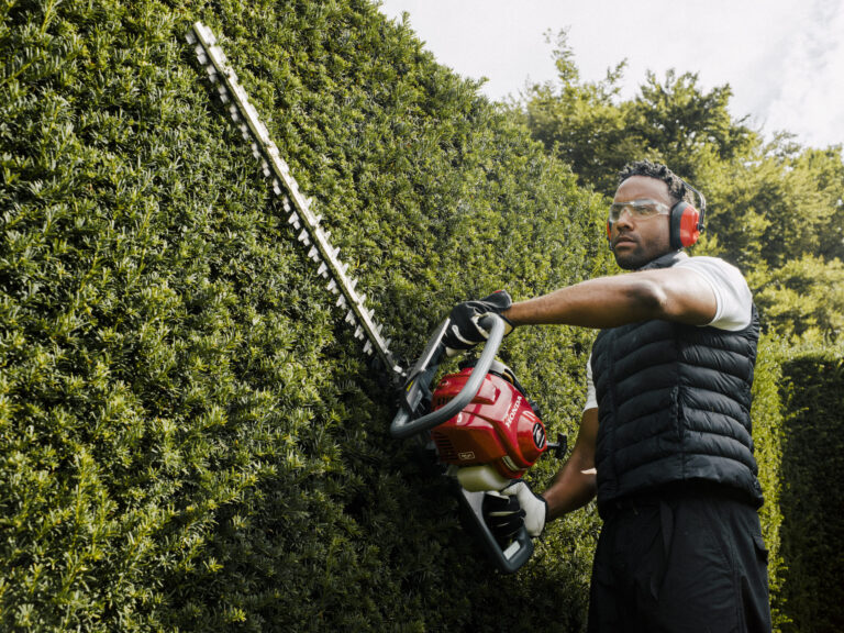 Tuingereedschap voor beginners: wat heb je echt nodig?