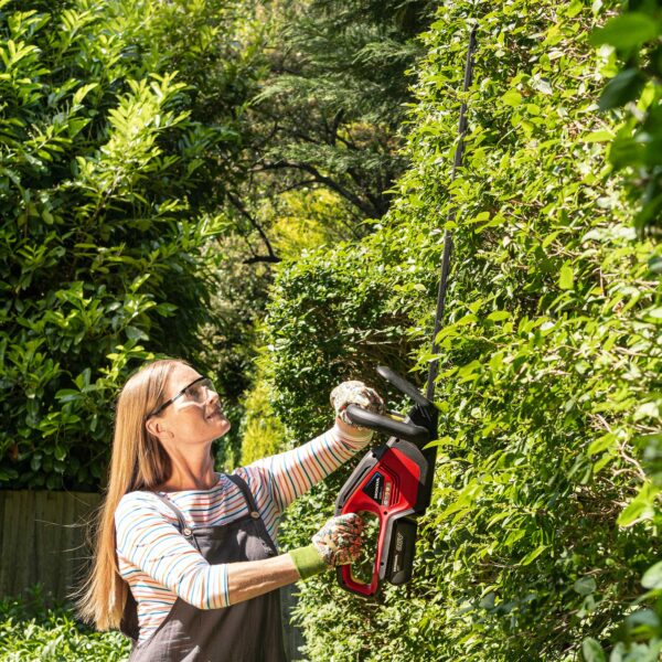 Honda HHH 36 BXB Accu Heggenschaar + 36V 2Ah Accu + Lader